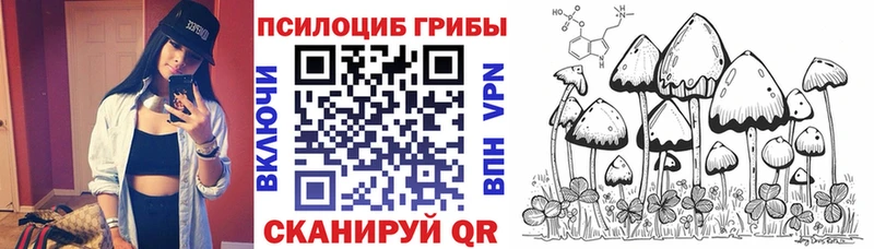 Галлюциногенные грибы GOLDEN TEACHER  хочу наркоту  Мирный 