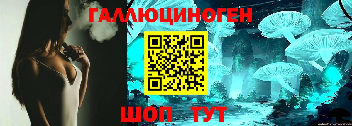 Псилоцибиновые грибы Psilocybine cubensis  Вход с VPN  Мирный  Псилоцибиновые грибы Psilocybe 
