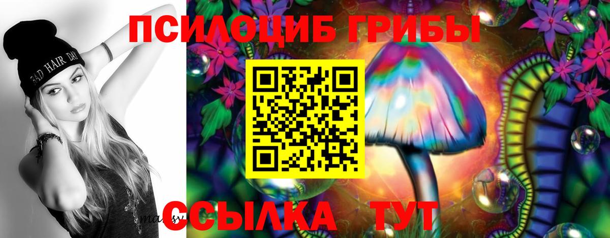 Псилоцибиновые грибы прущие грибы Мирный