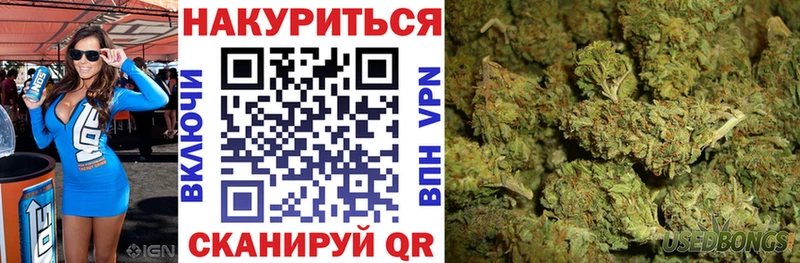 Бошки марихуана THC 21%  где продают   Мирный 